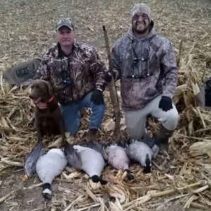 Meet your Posher, Chase